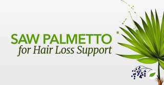 Does Saw Palmetto Shampoo Work for Hair Loss?