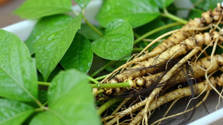 How Ginseng DHT Blockers Combat Hair Loss